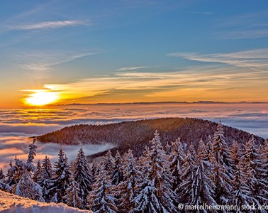 Weihnachten im Schwarzwald