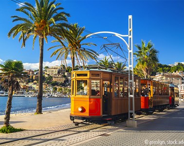 Mallorca in der Mandelblüte (Flugreise)