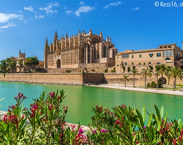 Mallorca in der Mandelblüte (Flugreise)